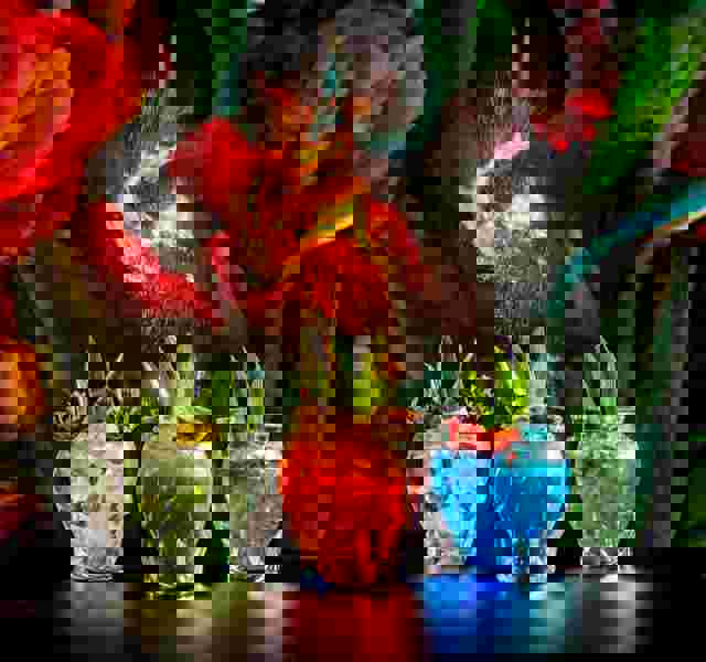 Skulls 6 (2) (1)