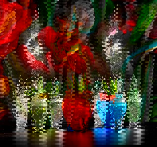 Skulls 6 (2) (1)